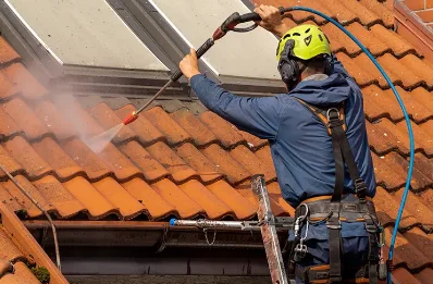 Démoussage et hydrofuge de toiture à Billio